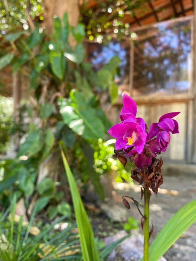 Donana Hostel De Guine Guine de Baixo Ngoại thất bức ảnh